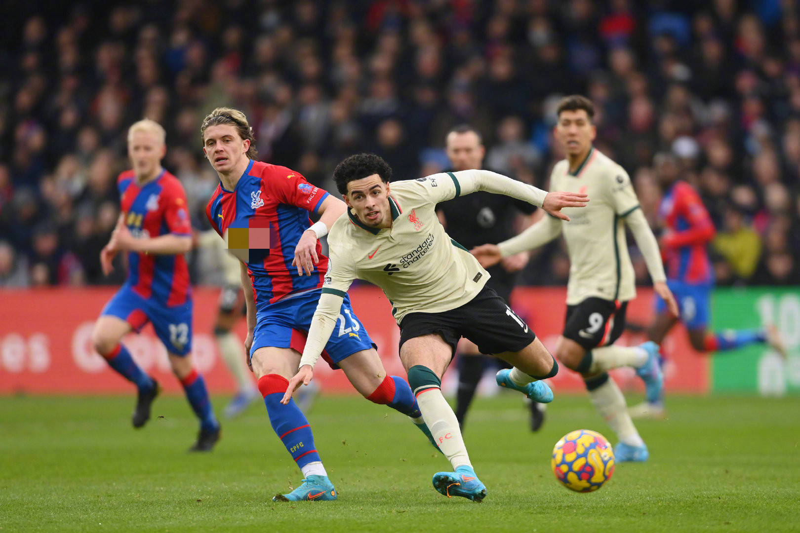 以便为未来 以便为未来